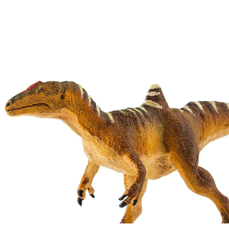 券大全—safari 儿童玩具仿真恐龙动物模型男孩飞龙系列模型 驼背龙