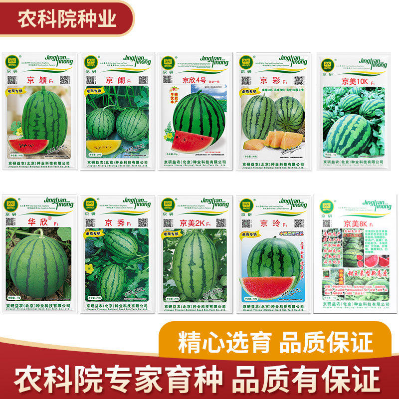 京研西瓜种子大全彩瓤无籽小型瓜华欣8424麒麟瓜l600西甜瓜种籽孑