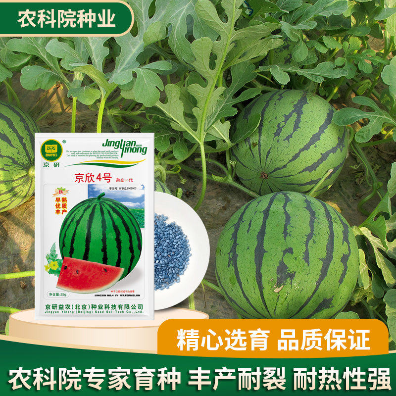 西瓜种子京研京欣4号皮薄超甜红瓤大西瓜种籽优质早熟高产耐裂