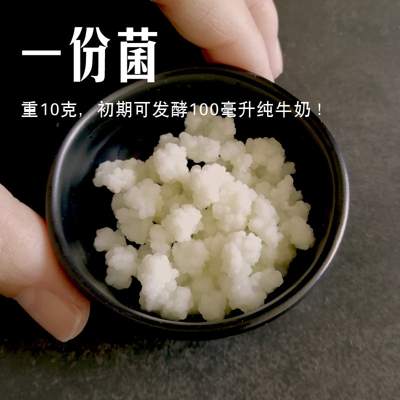 开菲尔菌种 奶克菲尔 西藏雪莲菌藏灵菇 酸奶常温发酵菌优惠券