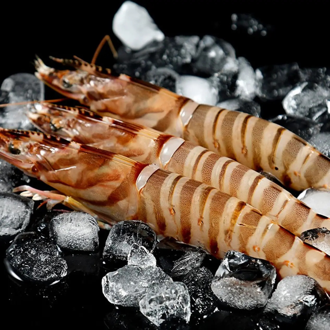 【顺丰冷链】地道风物 海鲜竹节虾基围虾大虾冻虾 海虾斑节虾鲜虾