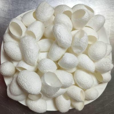 天然蚕茧壳价格