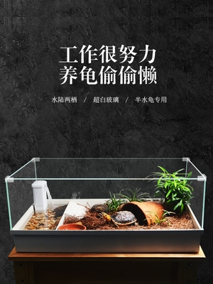 酷爬黄缘闭壳龟玻璃专用缸台缘安缘半水龟生态造景植物专用养殖箱