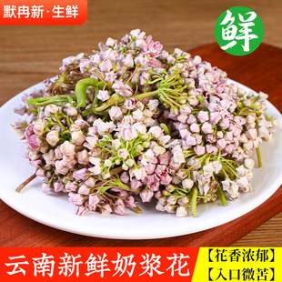 【现货】新鲜野生奶浆花1斤 云南特产食用鲜花当季时令野蔬菜包邮