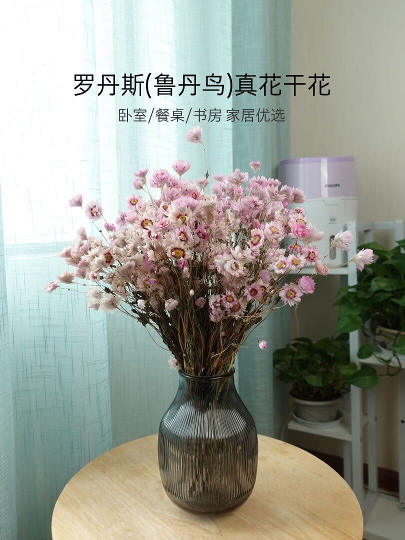 小清新干花天然鲁丹鸟罗丹斯风干家居装饰ins风摆件真花干花花束