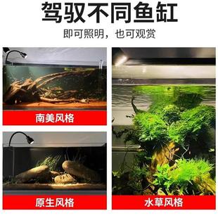 变焦鱼缸射灯南美造景专用灯雷龙水草原生古法养鱼圆形陶瓷缸缸灯