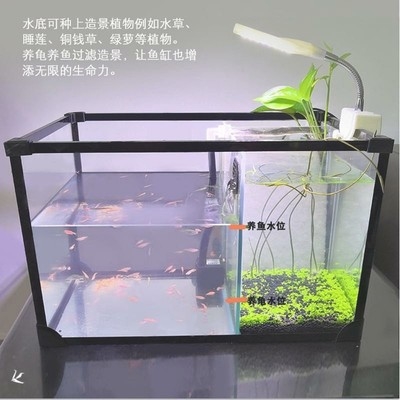 鱼龟混养缸鱼龟两用缸图片