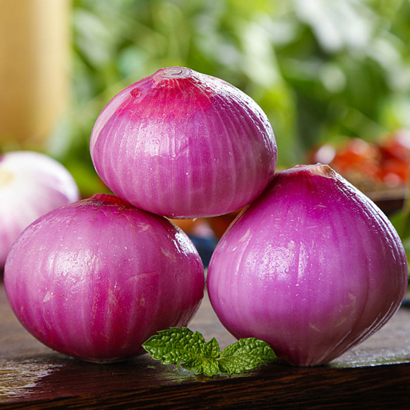 云南紫皮水果小洋葱脆甜大圆葱甜洋葱头生吃新鲜10斤农家自种现挖