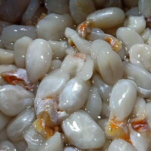 宁波特产东海美味小墨鱼蛋500g 乌贼蛋咸目鱼蛋 渔家新鲜腌制海鲜