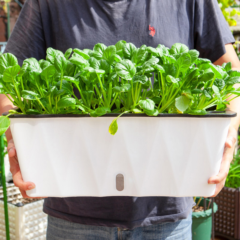 懒人自动吸水花盆阳台种菜盆室内长方形蔬菜种植盆塑料特大花箱