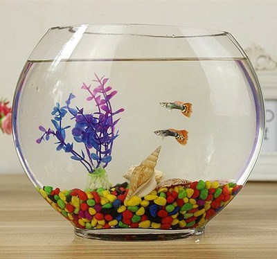 水族箱玻璃小立体鱼缸卧室鱼缸扁形摆设透办公便携式高家用器家装