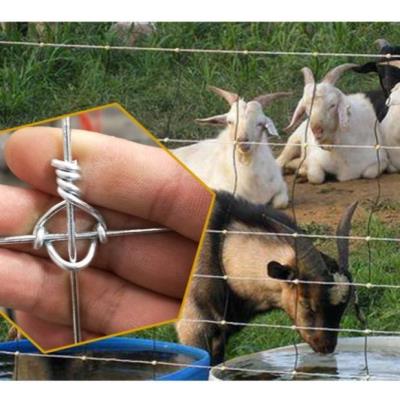 养殖拦鸡网家用围栏网整卷围网小孔钢丝防o护网格片加铁网子果地围栏