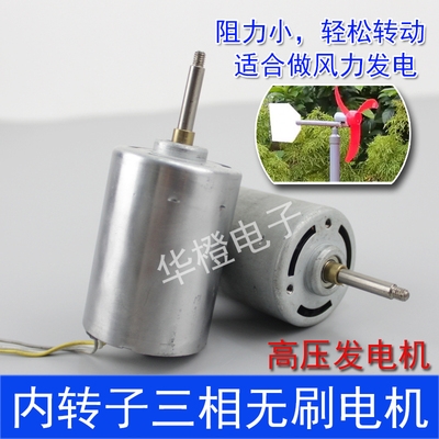 220v微型直流无刷发电机马达内转子diy小型高压发电机家用