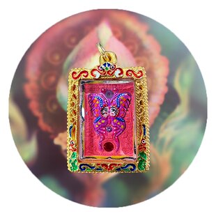 国内现货古巴吉士纳蝴蝶牌带宝石多款含壳无鉴定卡包邮贝叶工坊