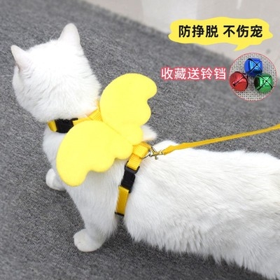 猫咪项圈牵引绳翅膀图片