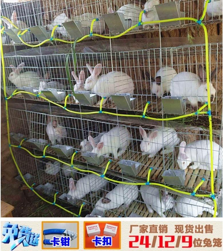 兔子笼子养殖场专业兔笼自动清粪三层商品兔笼兔笼养殖笼大型.
