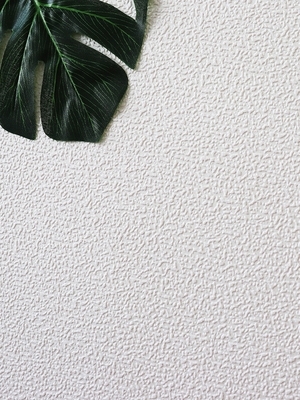 纯白色无纺布墙纸