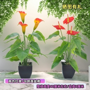 仿真植盆景花卉仿真花假花摆件桌摆室内客厅装饰绿植塑料花小盆栽