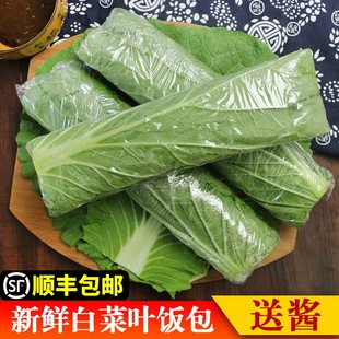 东北新鲜大白菜叶白菜叶东北白菜叶打饭包菜叶打菜包饭包白菜叶子