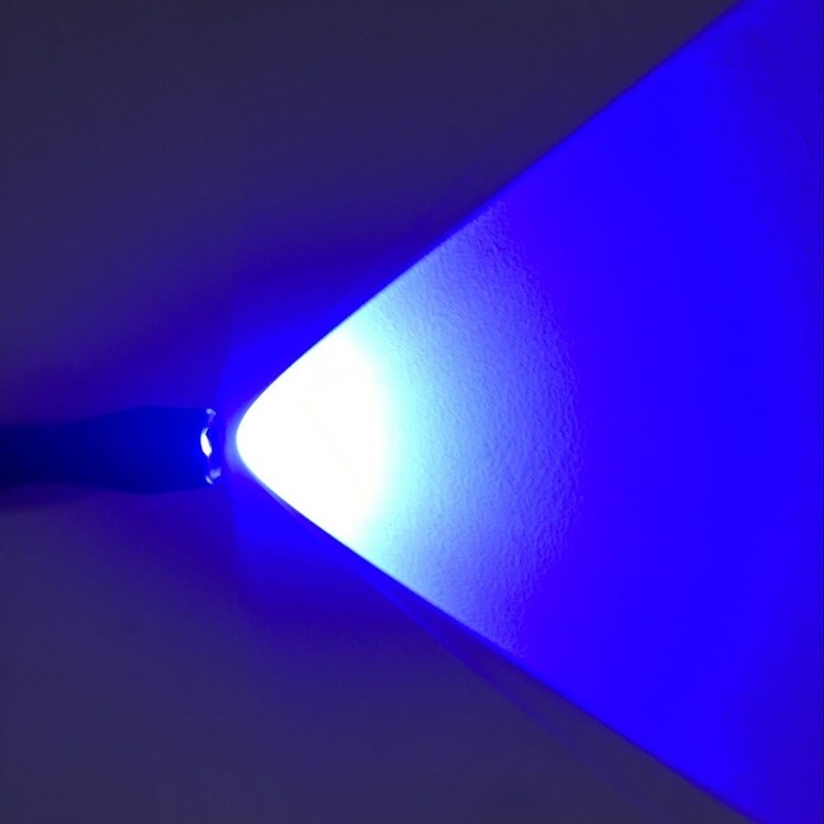 垂钓灯夜钓灯蓝光台超亮强光鱼灯大功率蓝光电筒氙气夜光兰光灯