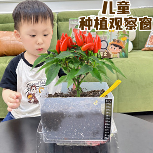 六一儿童节礼物植物生长观察窗61生日9礼物6岁男孩子8-13益智10岁