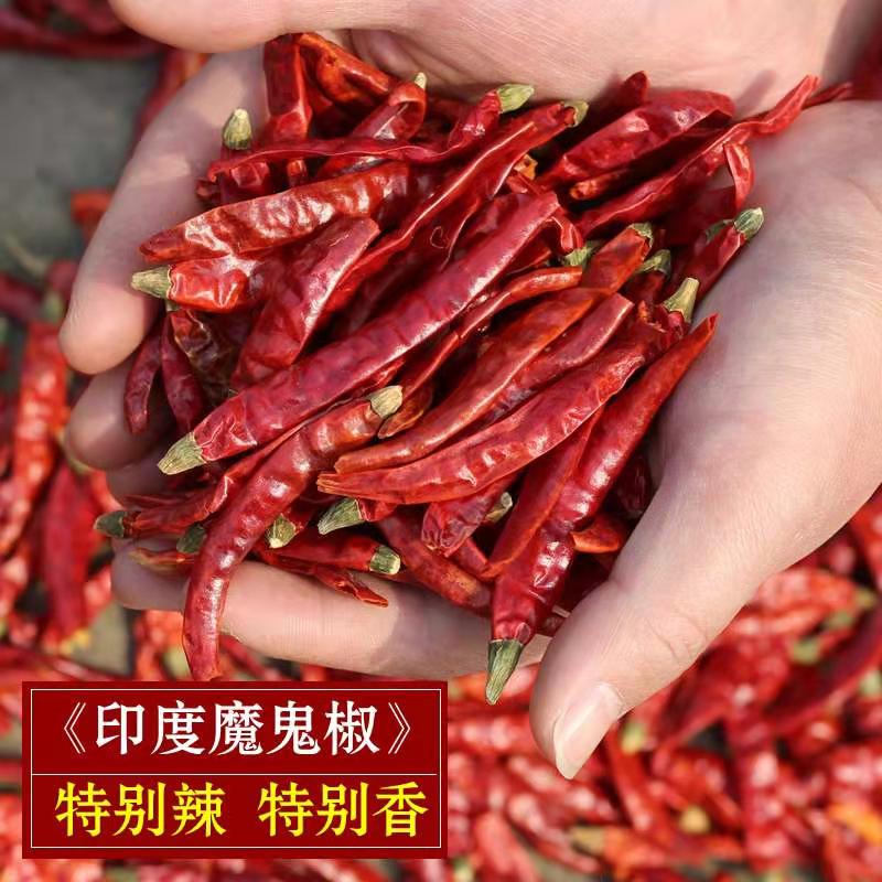 巨辣魔鬼椒香辣印度变态干红辣椒