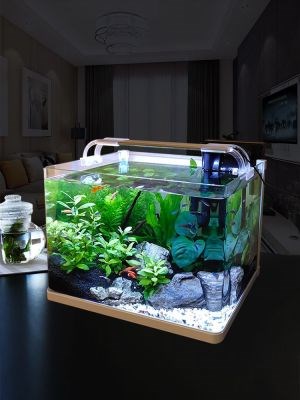养金渔缸超白玻璃鱼缸水族箱客厅小型生态草缸桌面造景缸家用
