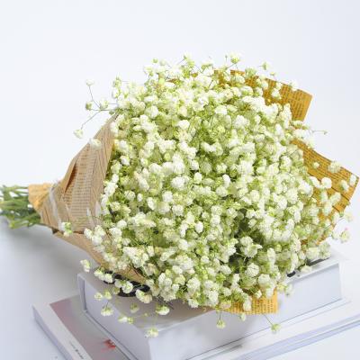 满天星干花大花束白色