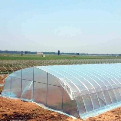 温室大z棚骨架蔬菜种植养殖大棚养牛养鸡椭圆管半坡棚无滴膜黑白