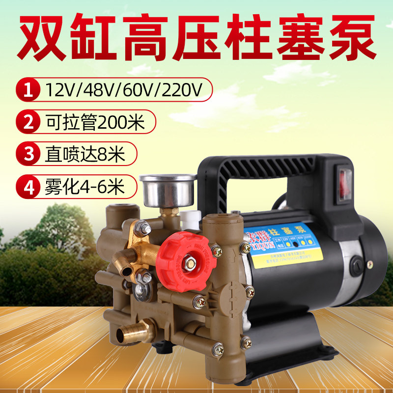 高压农用双缸柱塞泵电动喷雾器打药泵果园打药机12v/48v/60v/220v
