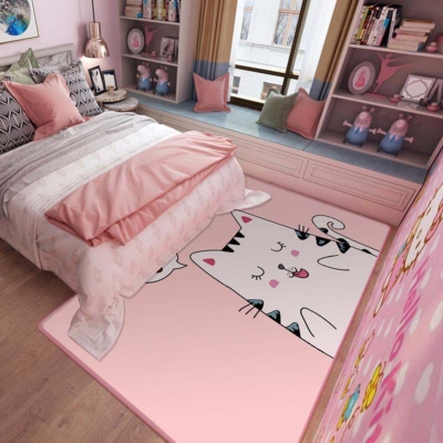 新品地垫坐垫网红出租屋改造拍照毯子家用卧室可爱少女心房间布置