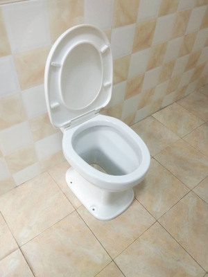 免冲坐便器马桶农村用图片