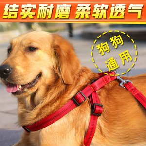 狗链子狗牵引绳胸背带遛狗绳子萨摩耶金毛中大型犬宠物用品套装