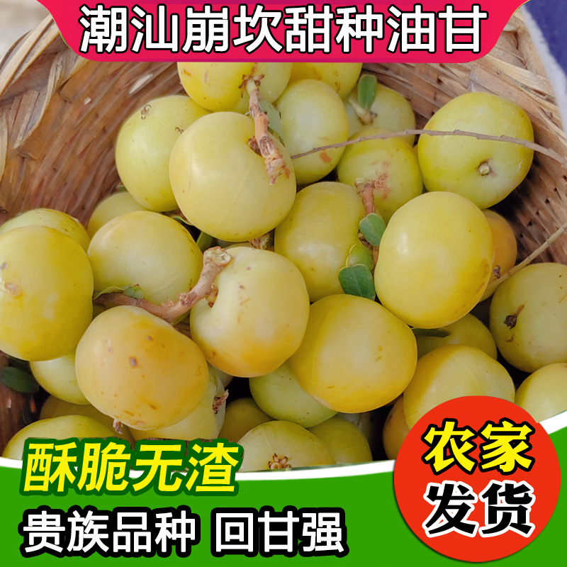 潮汕新鲜柿饼甜油甘果牛甘果油柑余甘