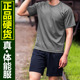 正品体能服套装男女夏季透气速干短袖户外运动圆领t袖吸汗排湿T袖