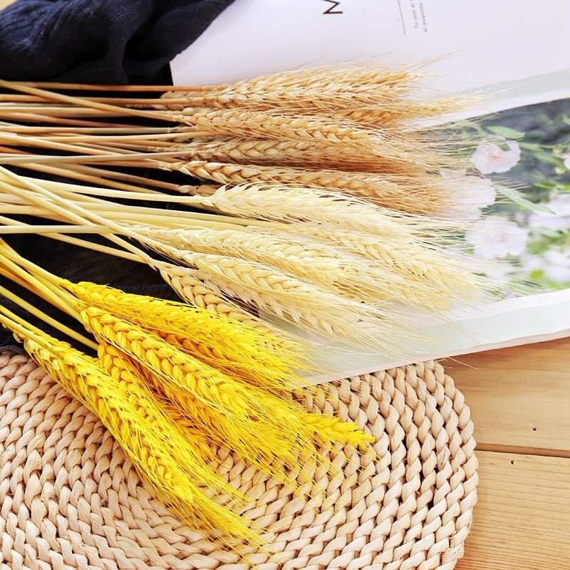 花束客厅麦穗干花瓶小麦麦子花家居开业装饰大麦花束田园天然摆设