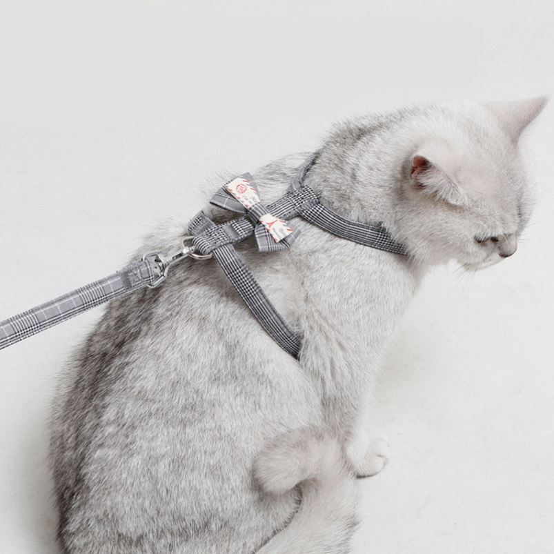 新款舒适遛猫绳猫牵引绳外出可调节防逃脱可爱胸背带猫咪宠物用品