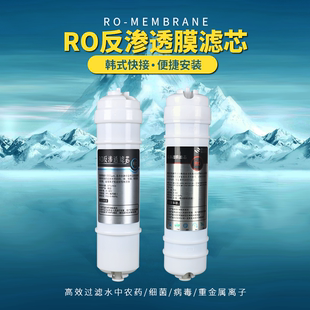 10寸韩式快接一体式反渗透ro膜75g净水器滤芯家用插电纯水机配件