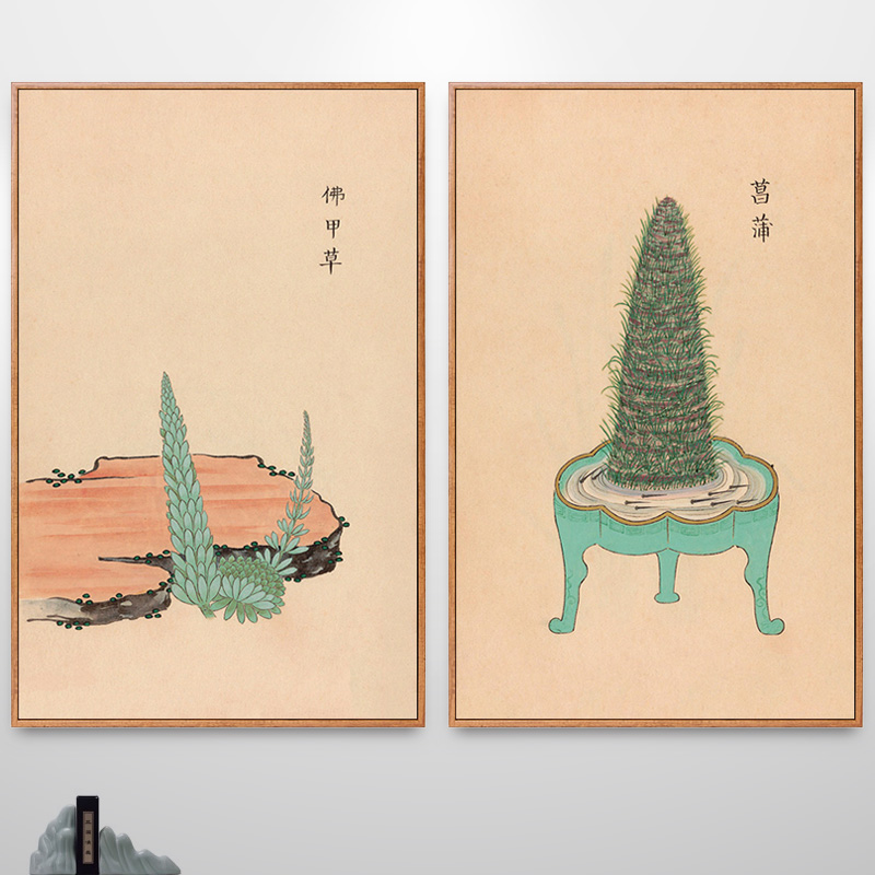 中草药图案本草纲目植物花卉挂画中医馆装饰画走廊过道药房壁画