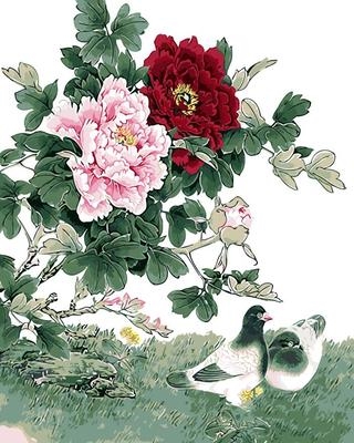 数字油画diy客厅花鸟风景淡彩填色手绘画鸽与牡丹40*5060*80