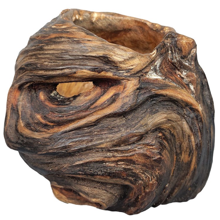 风化木树根随形手工个性创意多肉花盆烟灰缸居家装饰天然一体摆件