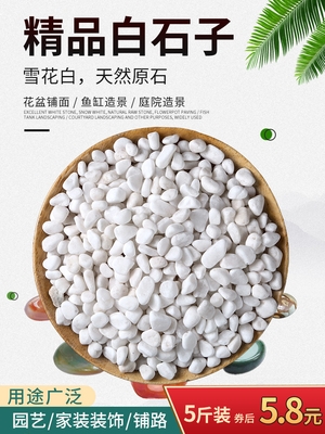 白色石子包邮图片