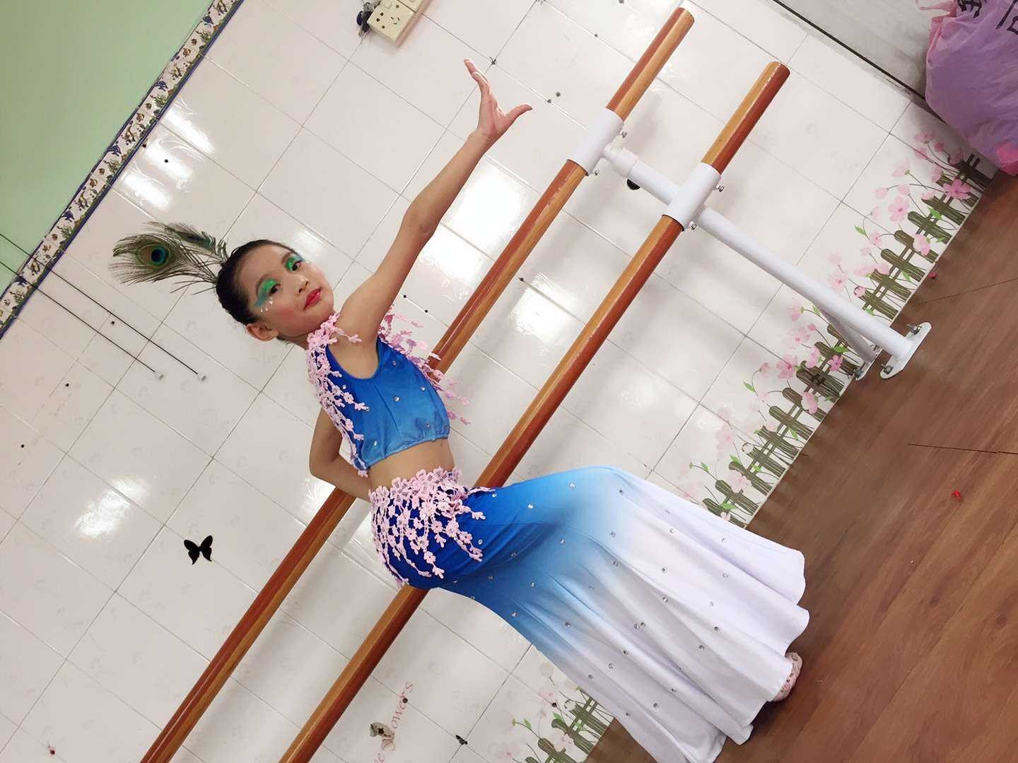 新品新款儿童傣族舞蹈服鱼尾裙弹力孔雀舞演出服装女童少儿民族