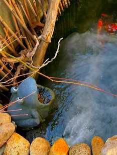 户外水池流水青蛙摆件花园庭院出水口装饰品鱼池过滤循环景观喷泉