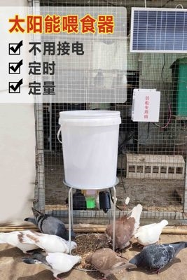 太阳能自动喂食器定时定量鸽子鸡鸭鹅狗喂料机投食器用品用具远程
