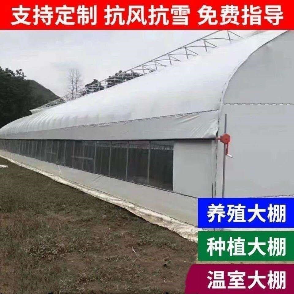 新养殖大棚骨架全套钢管大棚养鸡大棚鹅鸭棚养猪r大棚牛羊棚鸡舍