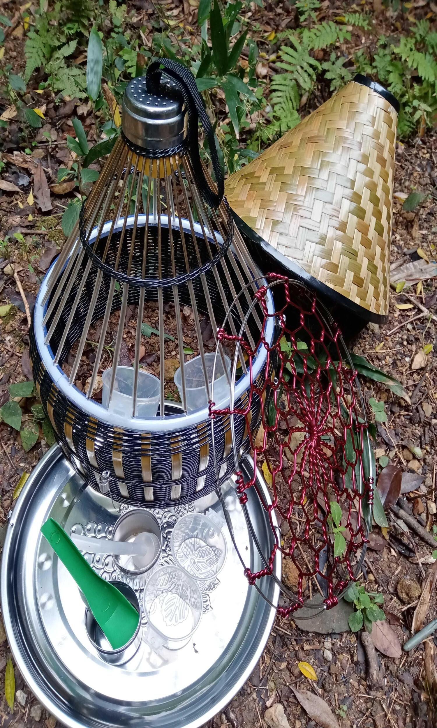 花花手工鹧鸪养殖笼子鹧鸪鸟笼竹鸡笼不锈钢上山媒笼