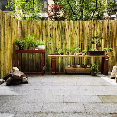 碳化竹篱笆栅栏室外防腐竹子墙围栏户外花园庭院装饰隔断围墙护栏