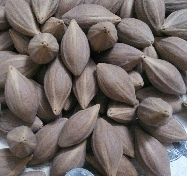 手链橄榄核雕刻原料4花小红核原皮素核手抓籽盘玩古树老油核手串