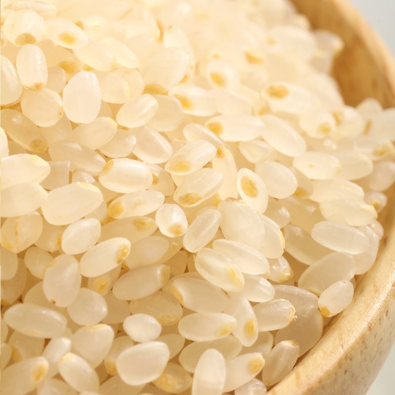 阿八伊旗舰店的优惠券大全—胚芽大米8折会员